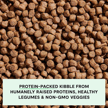 Open Farm, Grain-Free Dry Dog Food, Complete & Balanced Kibble, Sustainably & Ethically Sourced Ingredients, Non-GMO Veggies & Superfoods to Support Overall Health, Grass-Fed Beef Recipe, 4lb Bag
